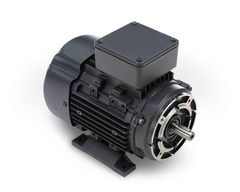 Induction Motors ElectroMatic Products